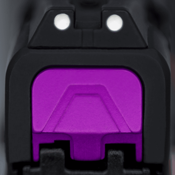 SAR9 Family Back Plate - Image 6