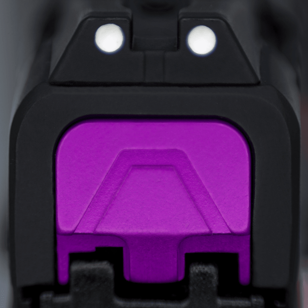 SAR9 Family Back Plate - Image 6