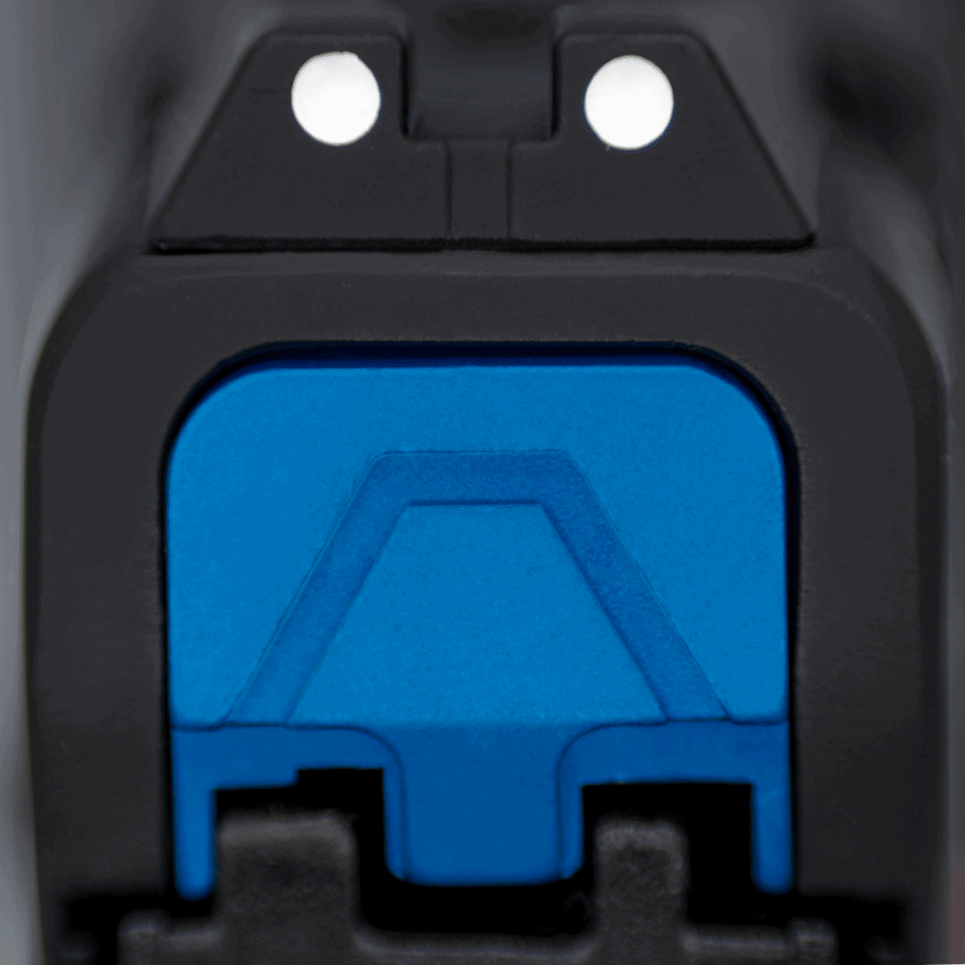 SAR9 Family Back Plate - Image 12