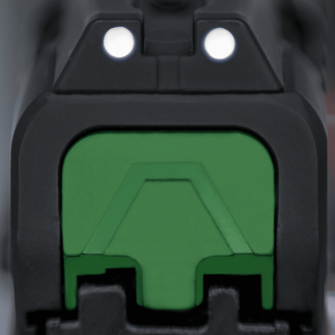 SAR9 Family Back Plate - Image 9
