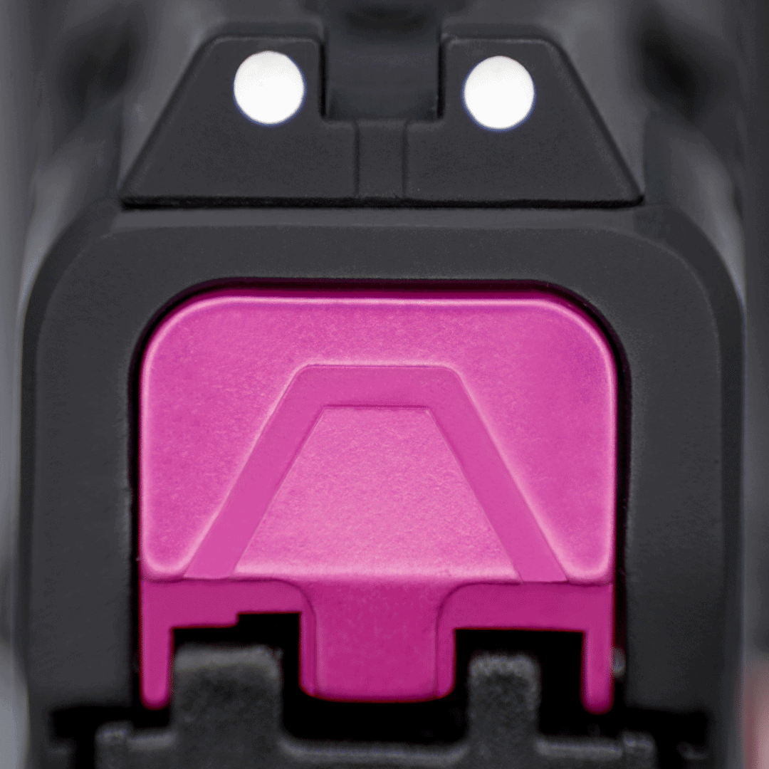SAR9 Family Back Plate - Image 3