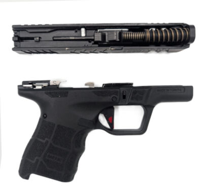RECOIL SPRING AND GUIDE ROD ASSEMBLY
